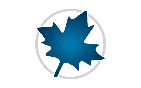 Maplesoft Maple 2021 (数学软件)Carck 中文破解版