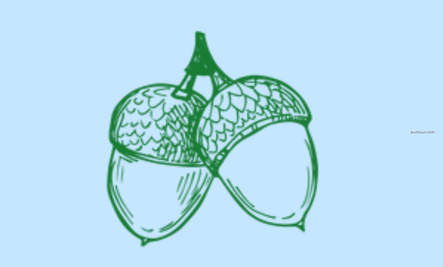 手绘松叶松果素材-PS笔刷