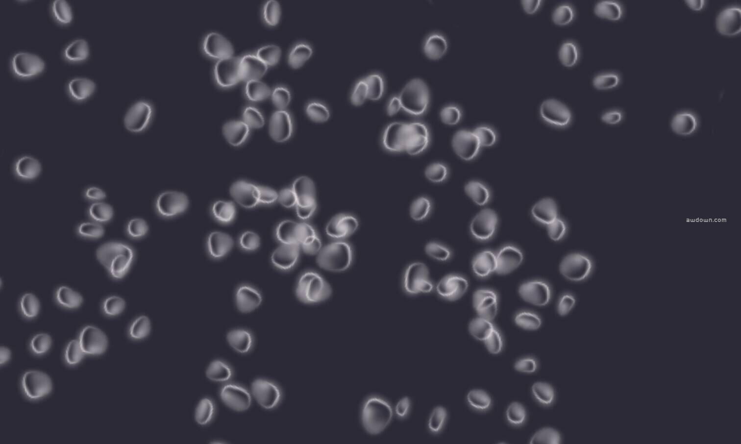 唯美的水中气泡-PS笔刷