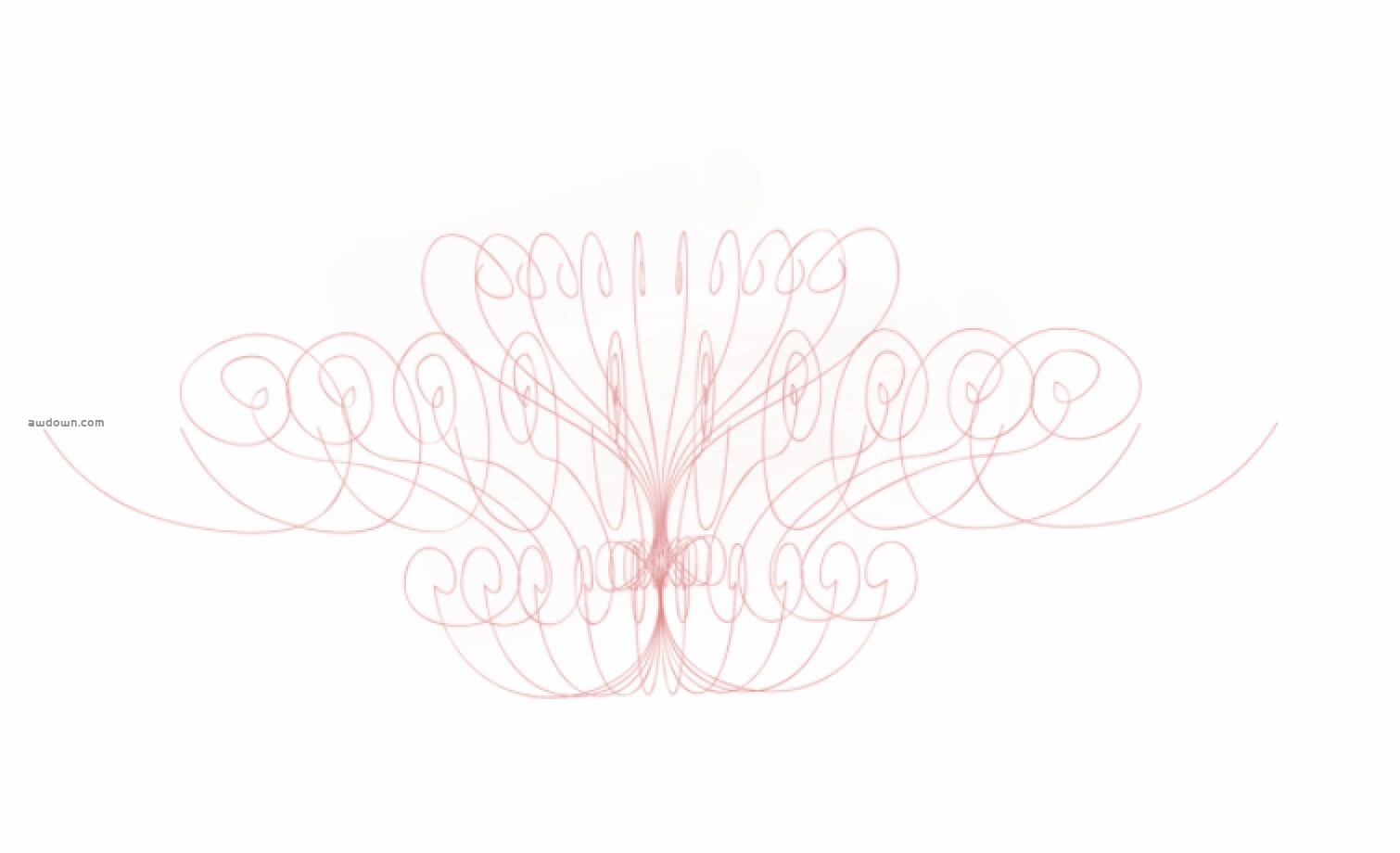 漂亮完美的曲线-PS笔刷