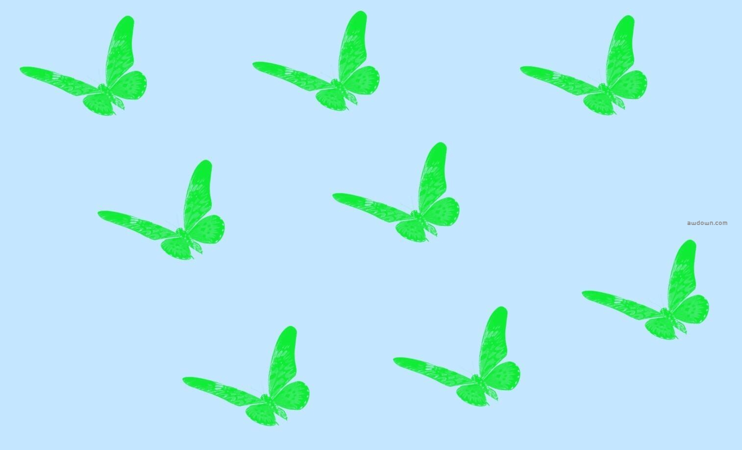 漂亮的蝴蝶-PS笔刷