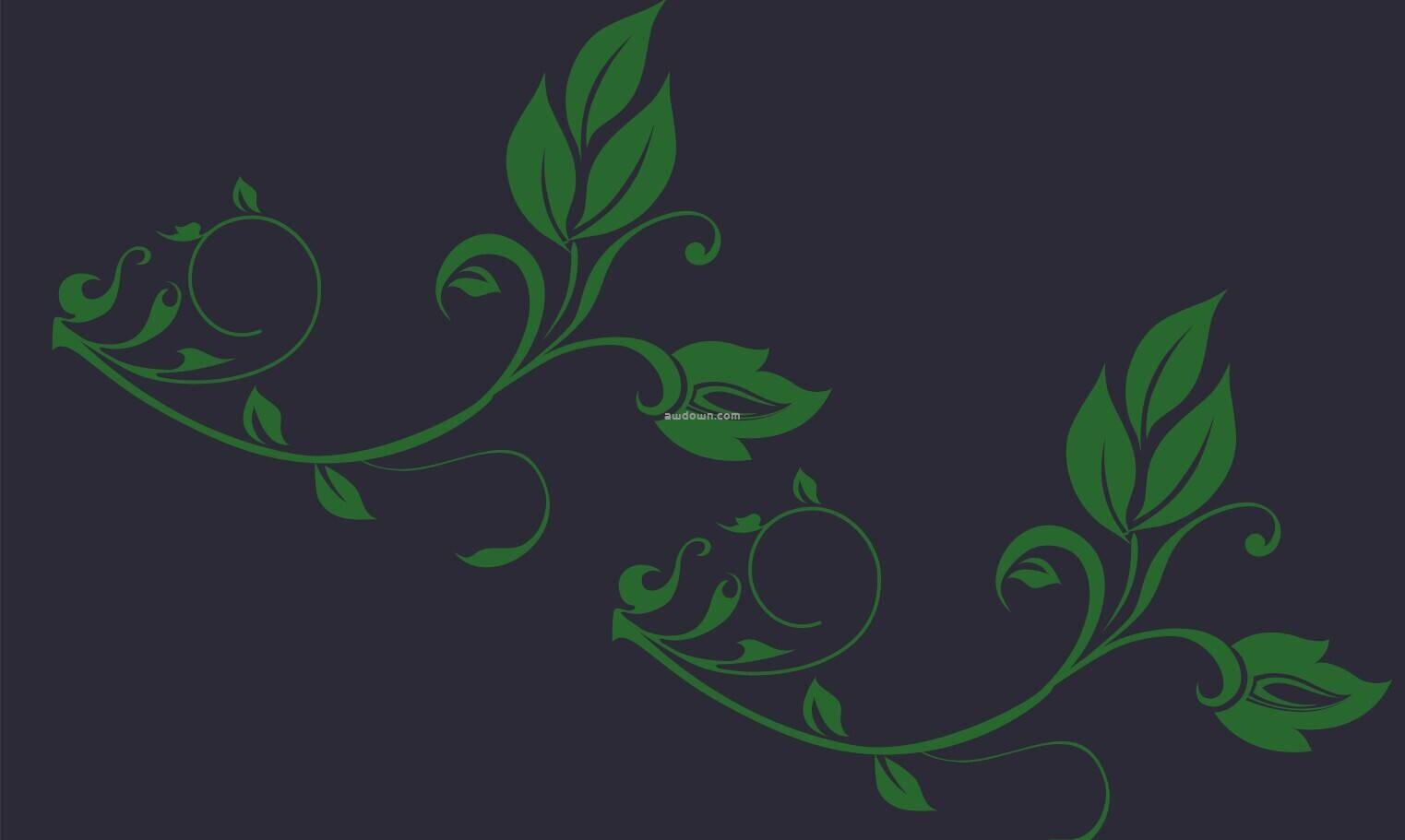 精致的藤蔓花纹-PS笔刷