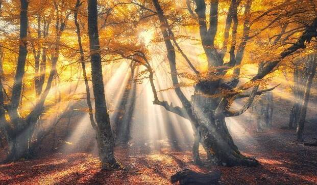 Flair PS 光束大师插件