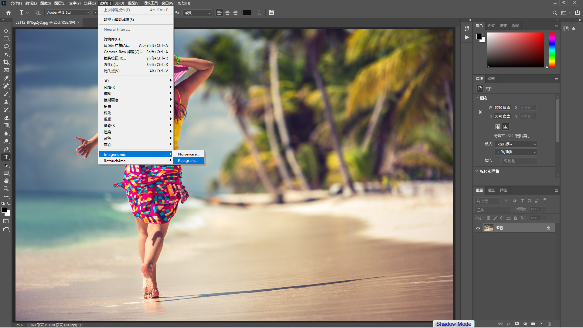 Imagenomic Realgrain(Ps胶片颗粒效果插件)
