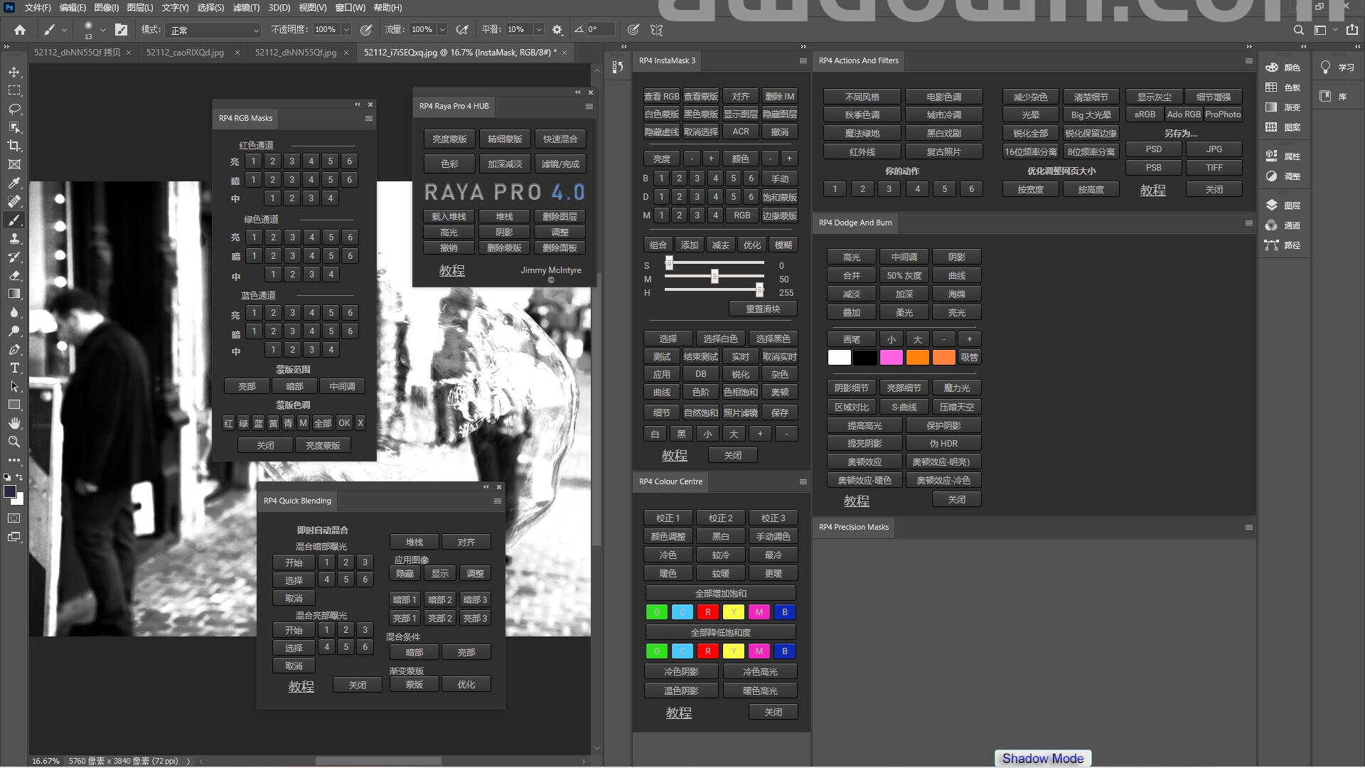 Raya Pro(PS终极数字混合扩展面板)