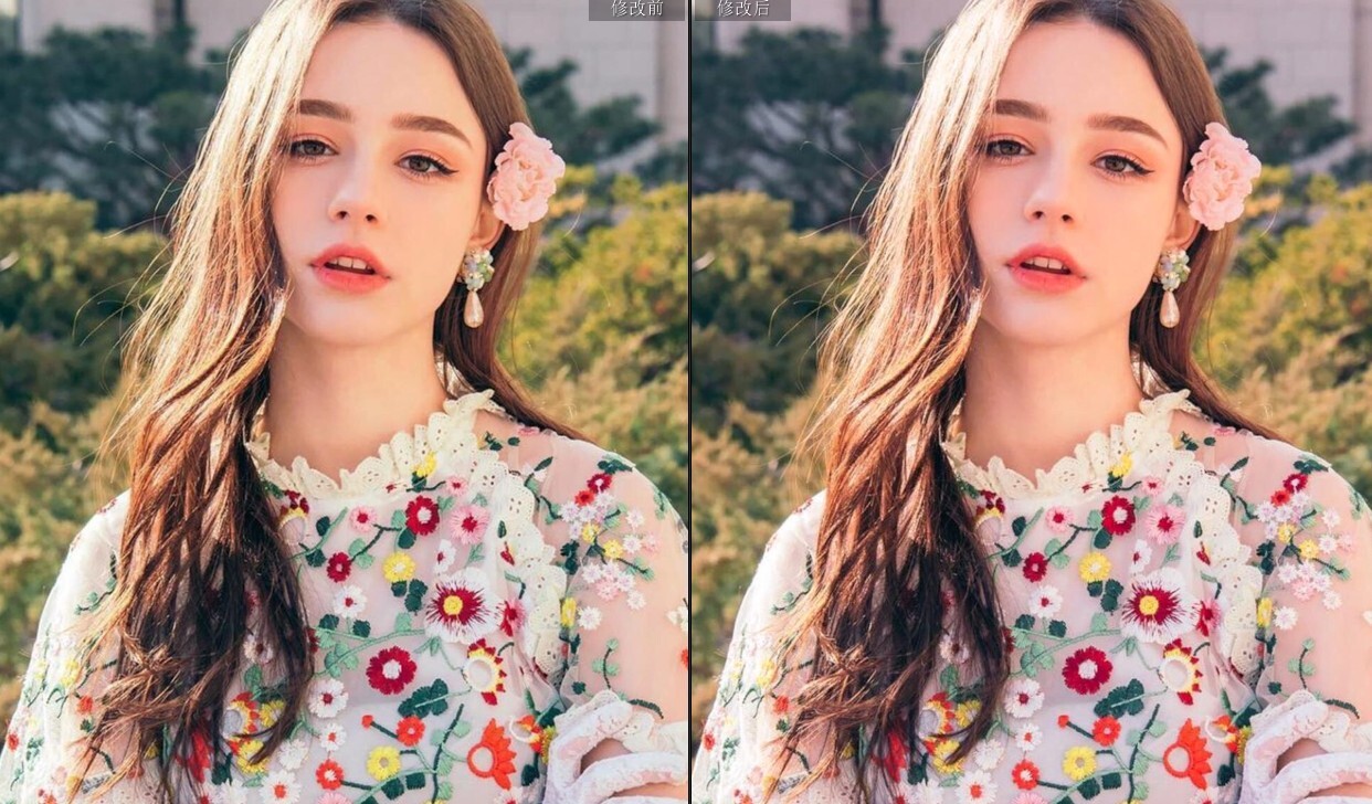 32个深咖色LR预设