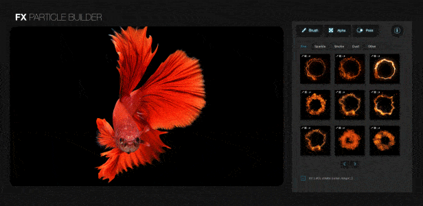X Particle Builder(AE粒子创建脚本)